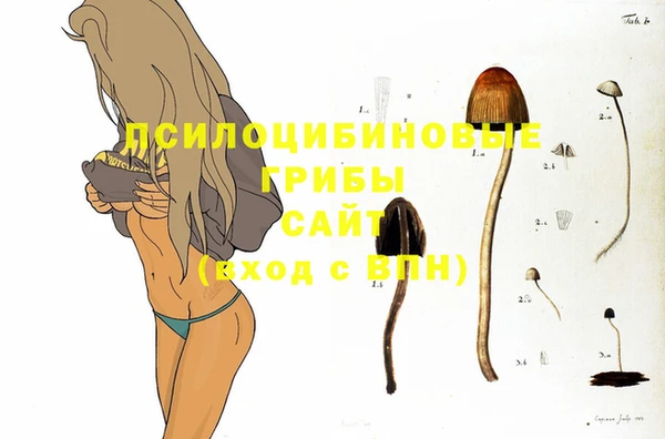 дурь Верхнеуральск