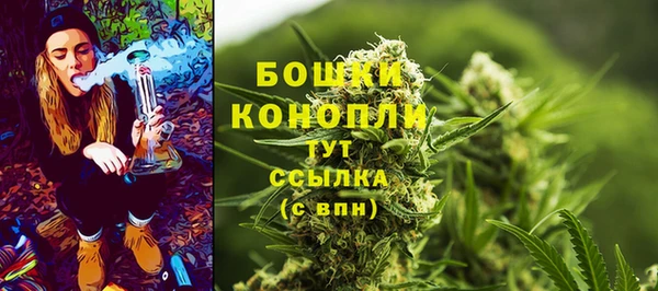 СК Бородино